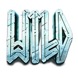 Wild symbol from the 11 Coins of Fire game paytable